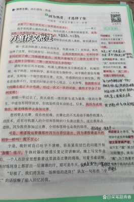 高考满分作文带批注