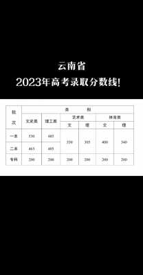 2025年八省联考四川分数线
