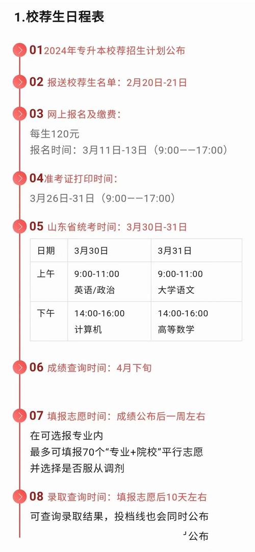 山东专升本志愿怎么填报步骤