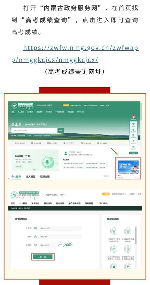 高考查分时间及流程