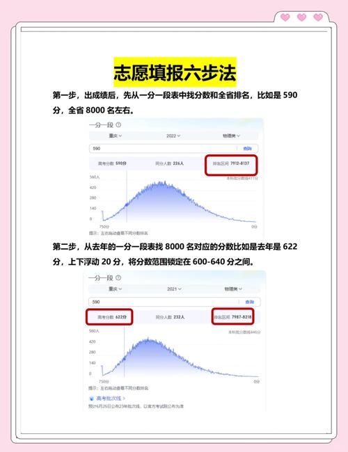 高考后怎么填志愿选专业