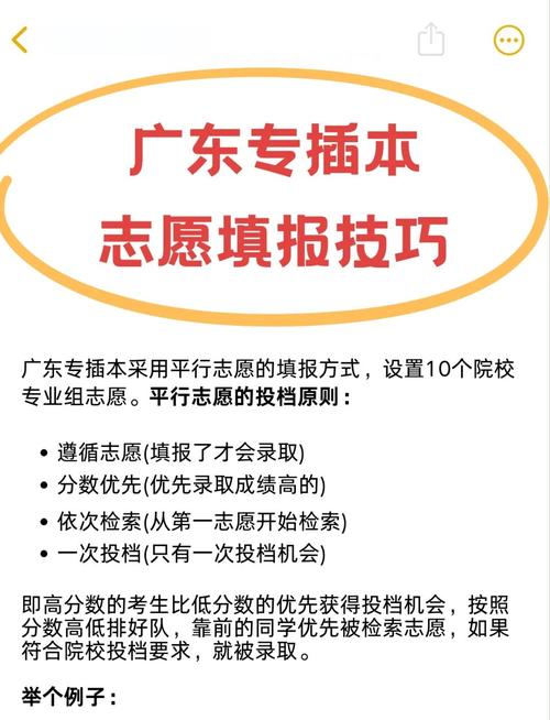 2023广东高考志愿录取规则有哪些
