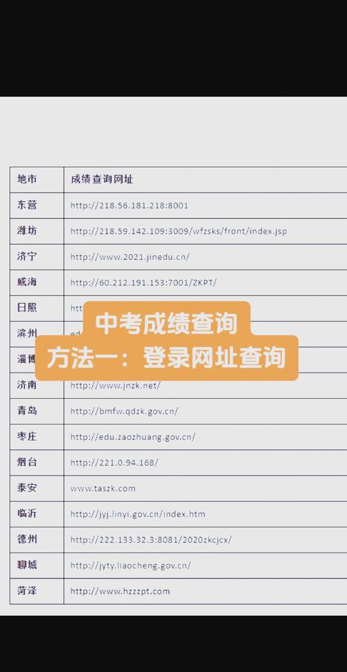 怎么查询自己的中考成绩