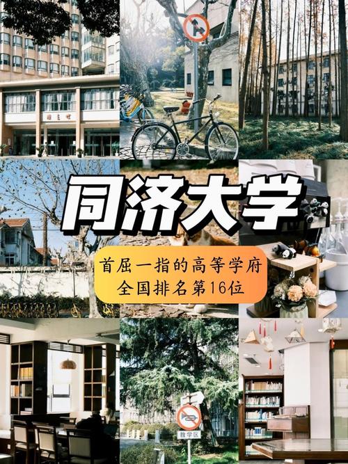 同济大学在985高校中处在什么水平?