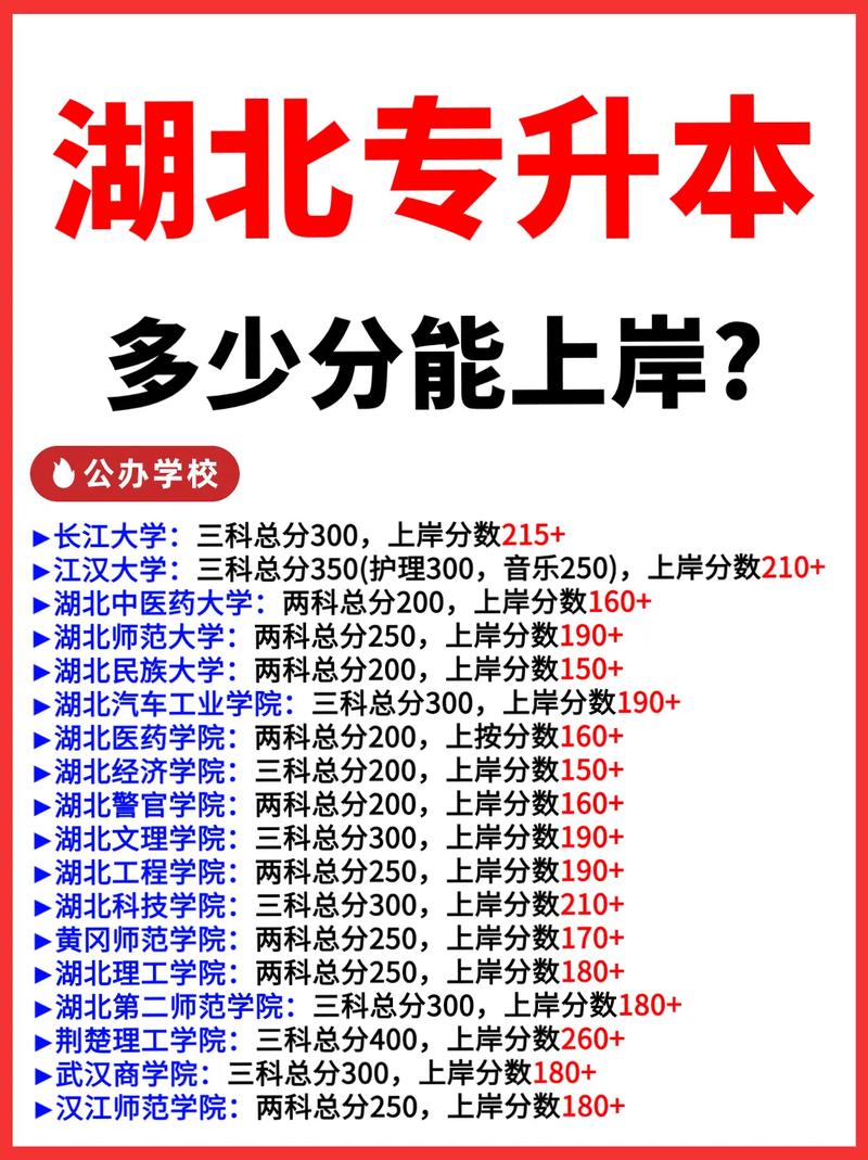 湖北音乐专升本总分多少