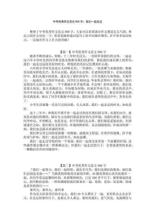 中考满分作文800字十篇