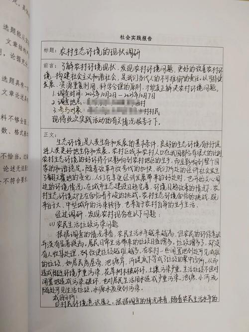云南高考报名考生社会实践怎么写