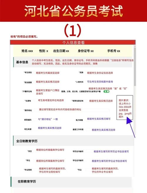 河北高考报名手机上怎么报