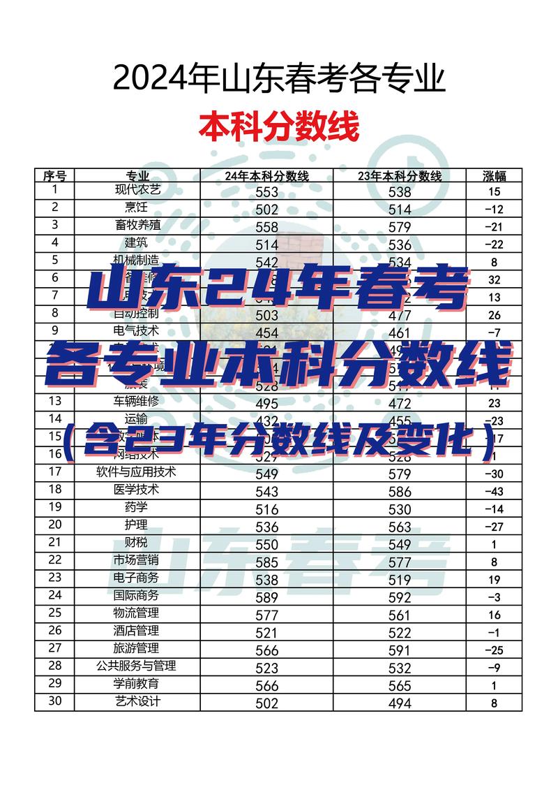 山东高考2024分数线