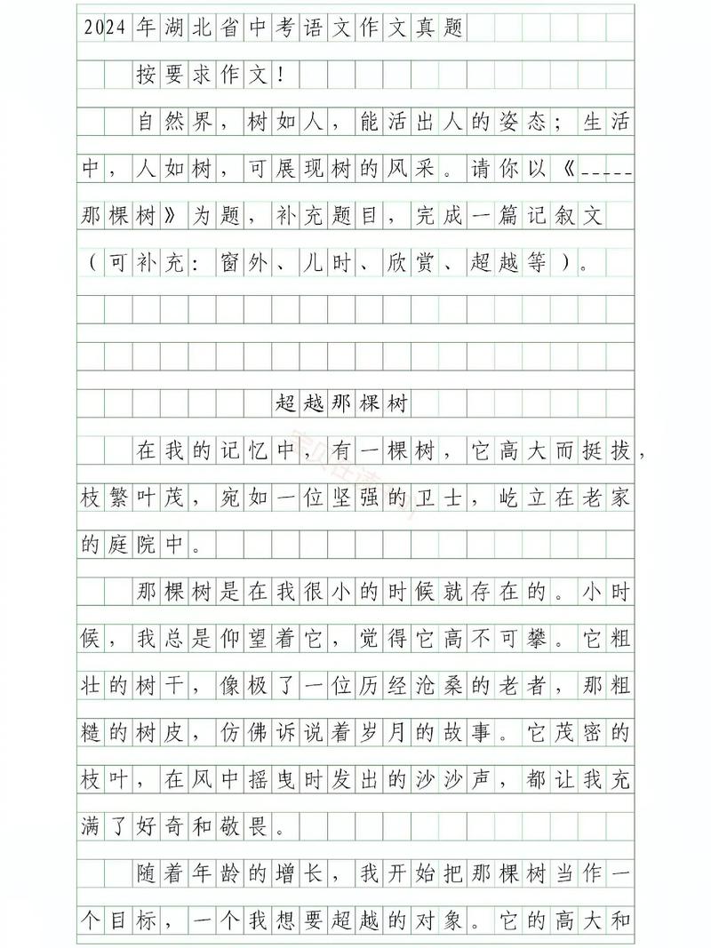 2024年吉林省中考材料作文“创新”实战演练——标志性句子技法详解10则...