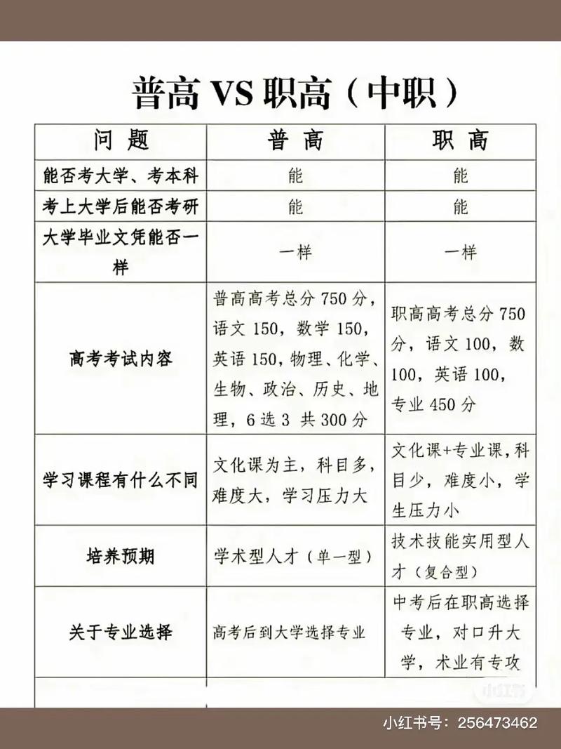 浙江职教高考不考英语吗