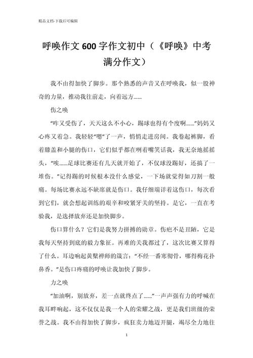 2o2o年中考作文，2921中考作文