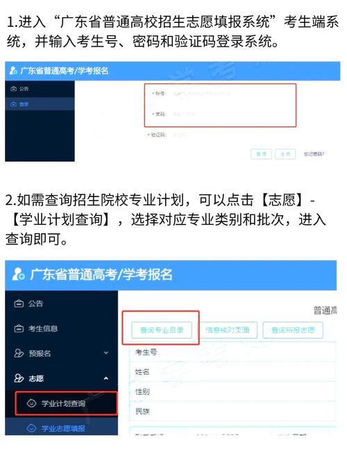 志愿填报师如何考
