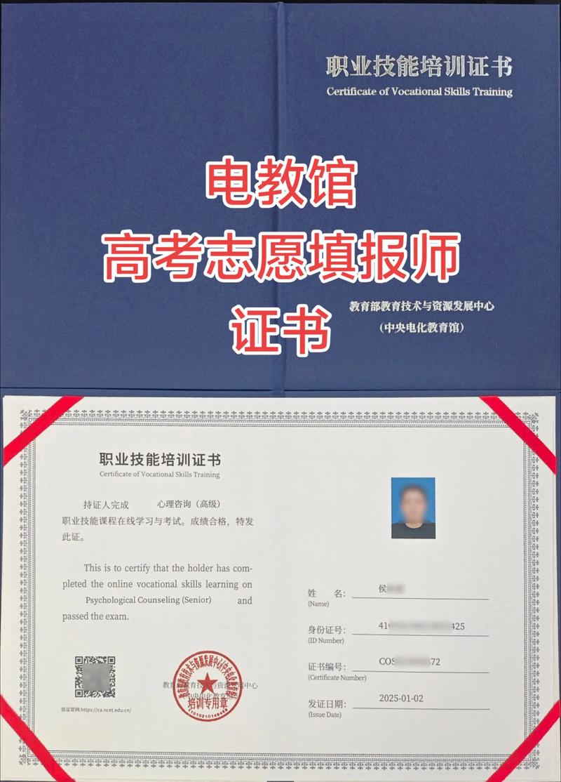 高考报考询问师怎么考