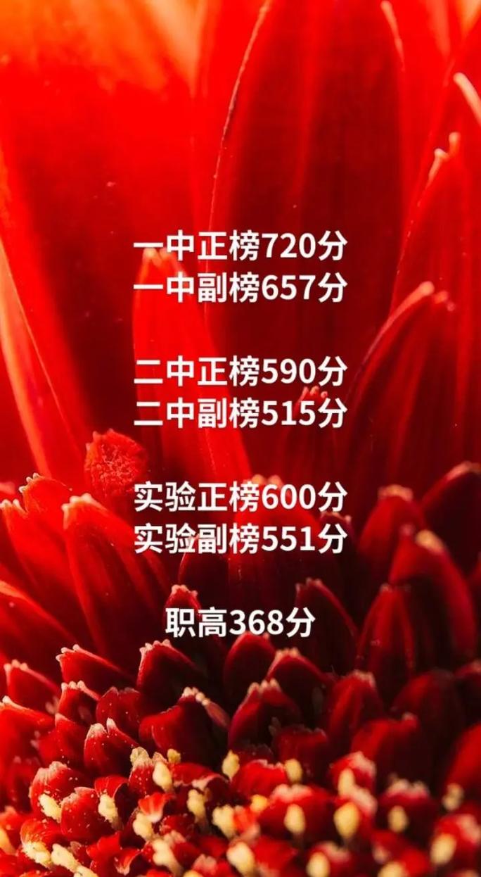2021年巨野十二中录取分数线