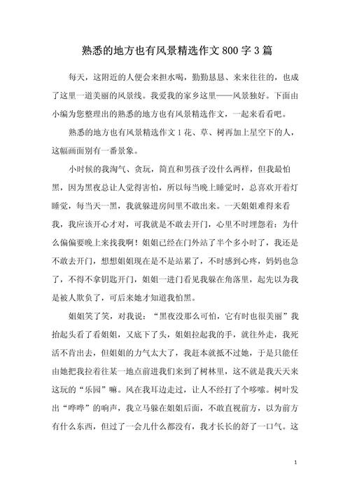 2020中考满分作文800字:微笑面对生活