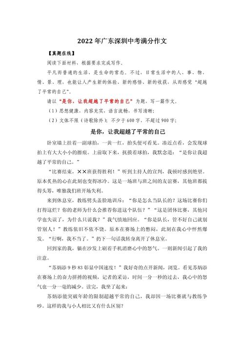 2023年中考满分作文——遇见东坡,遇见美好