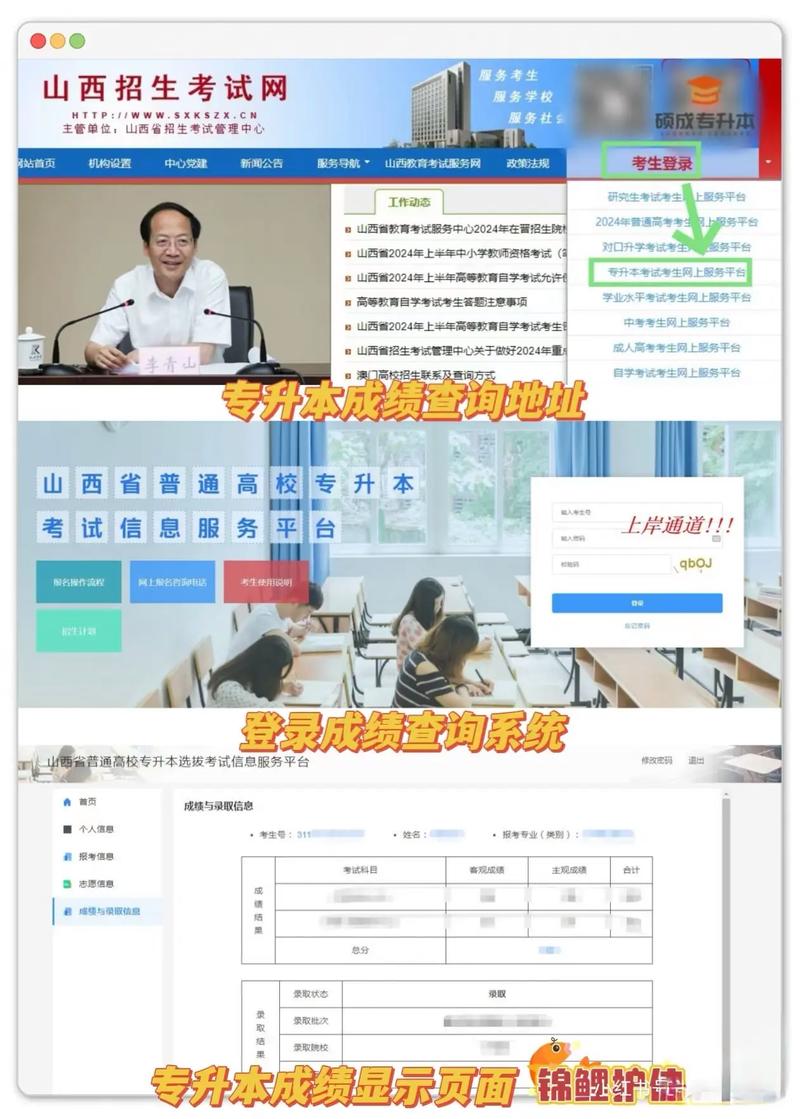 专升本如何查询成绩