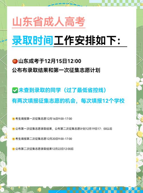 河北成人高考时间2024年具体时间