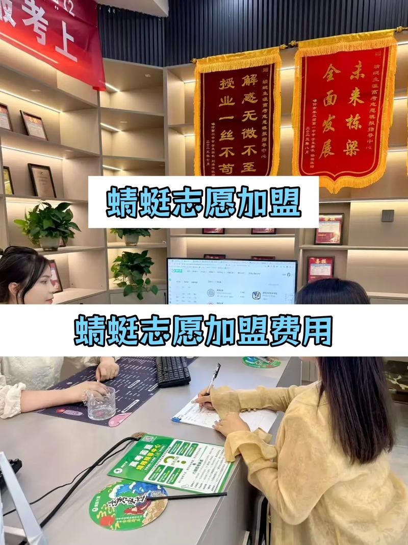 志愿填报机构是自己做还是加盟做?