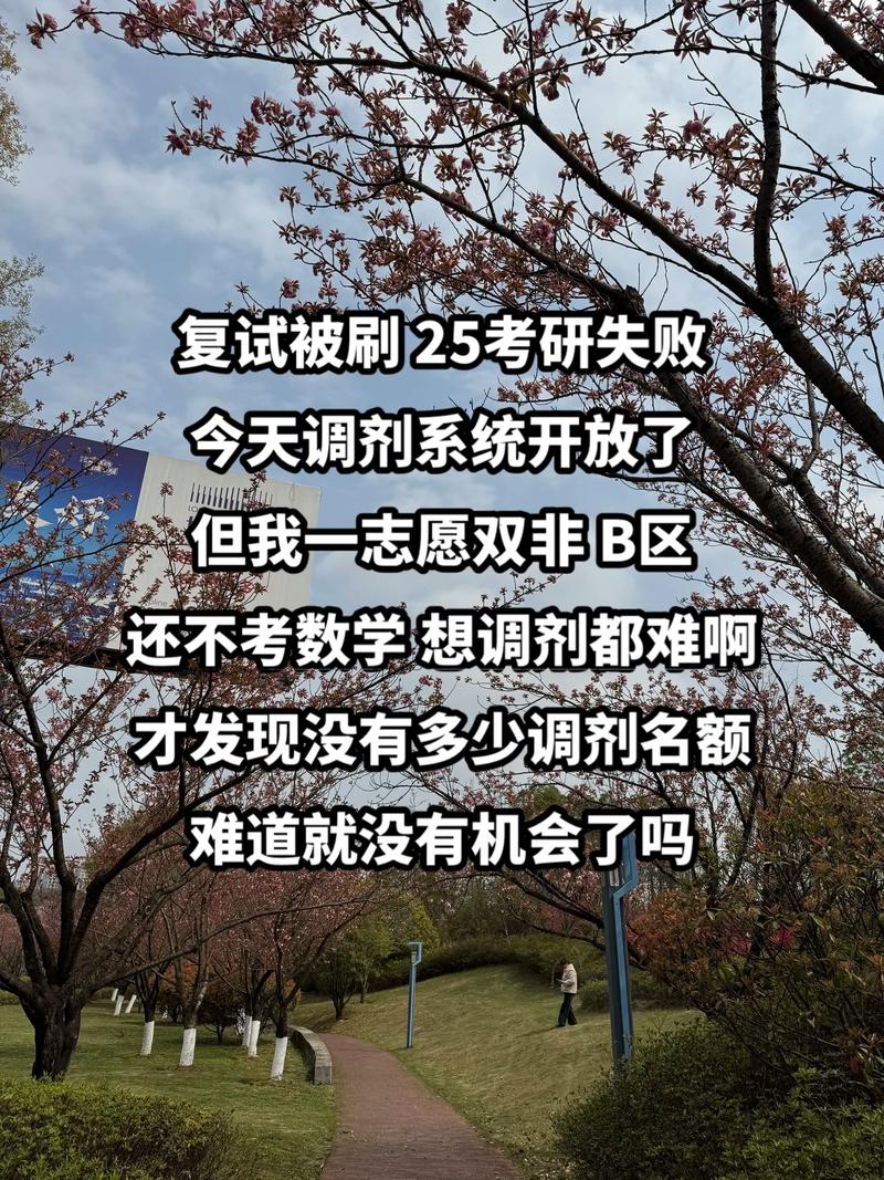 今年调剂我告诉你有多难