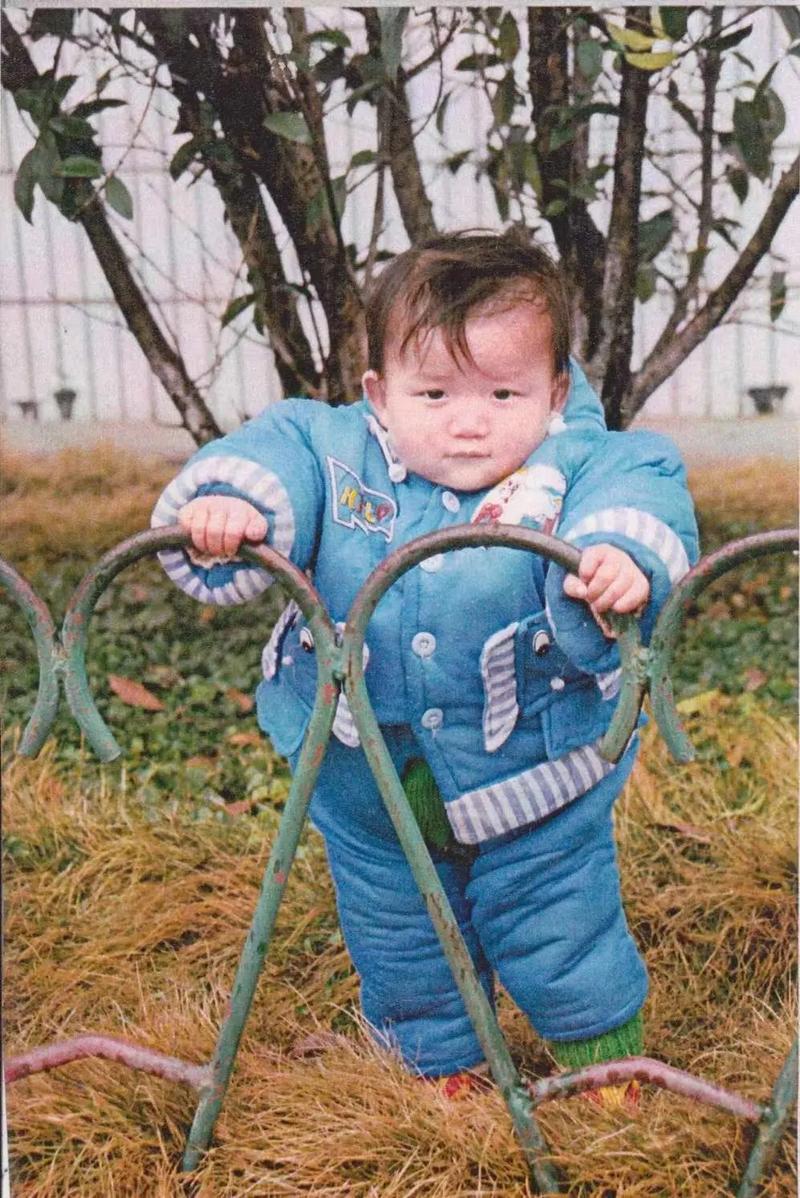 华政考研每天热点训练|滥用资本多数的公司决议效力(案例分析)