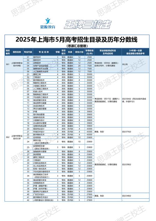 2025年上海高考的分数线