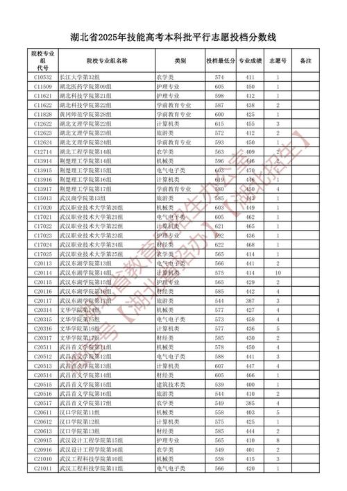 技能高考文化成绩查询时间