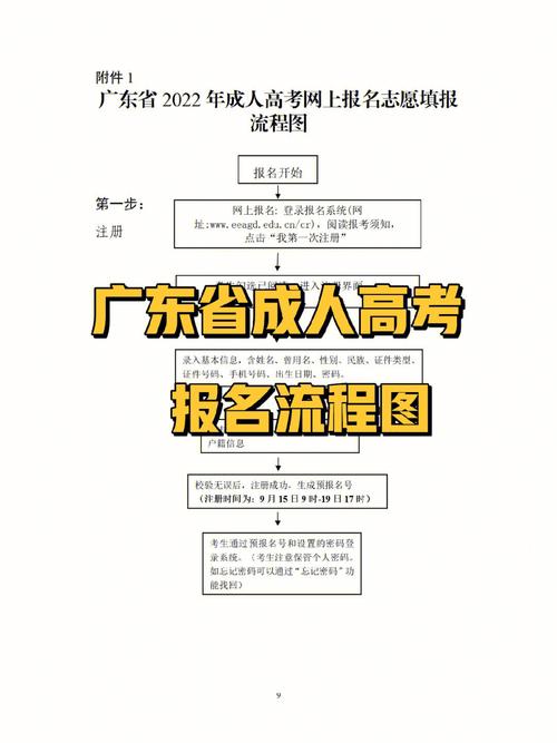 成人高考完整报考流程??分享7个报考经验