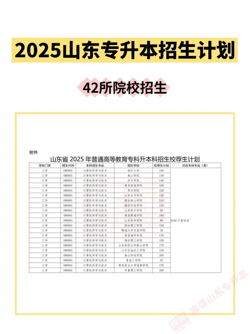 山东怎么查专升本招生计划