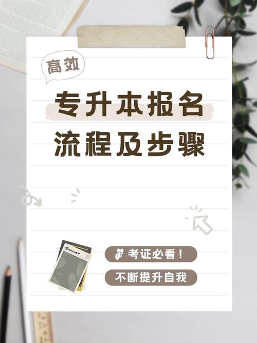 应届生专升本怎么报名