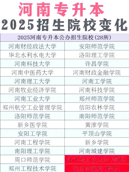 2025河南专科专升本大数据会计专业可以报考哪些学校