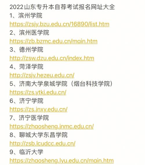 山东专升本网网址是什么?