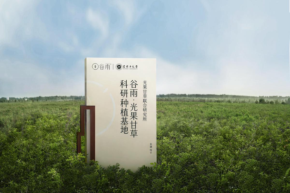 高考志愿填报规划师培训的软文推文，高考规划师培训权威单位机构