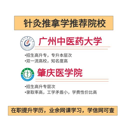 广东成人高考可以报考哪些大学