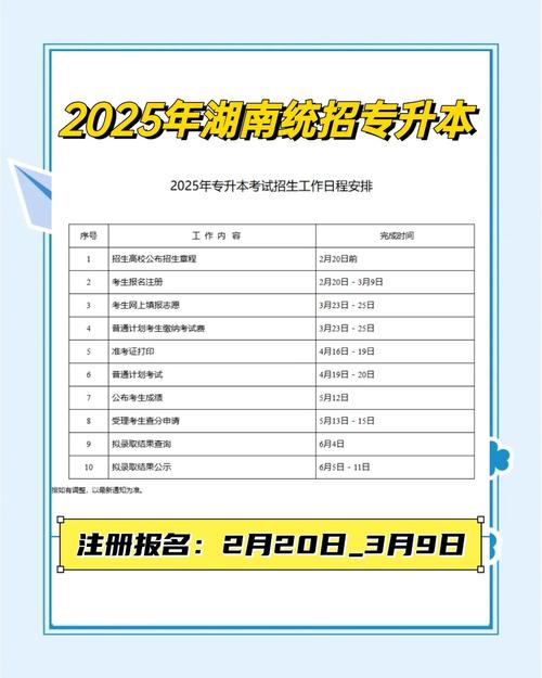 专升本在哪报名官方网站是什么