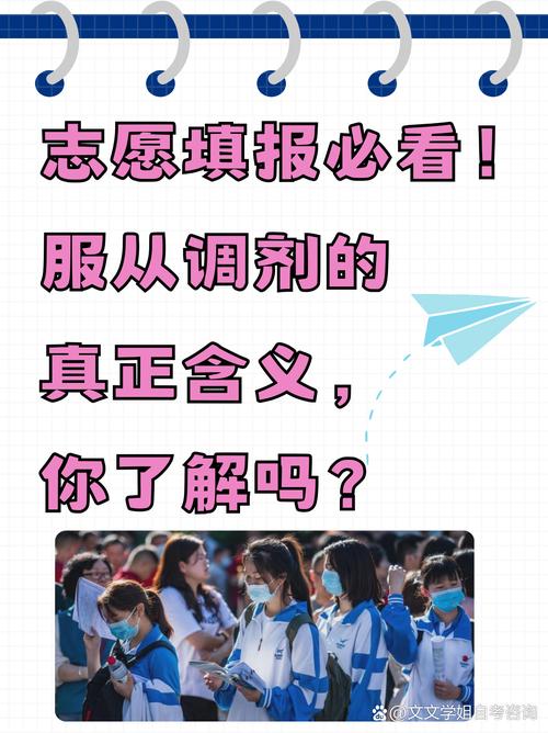 2025全国取消调剂，取消专业调剂的省份？