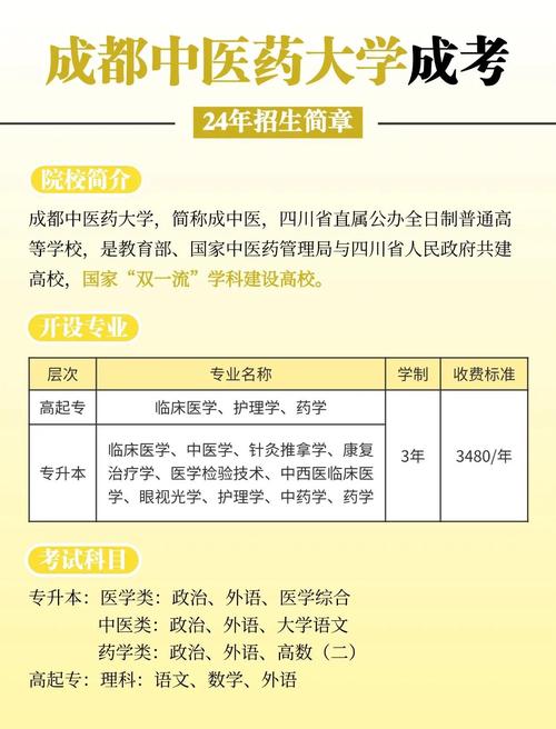 成考一年考几次