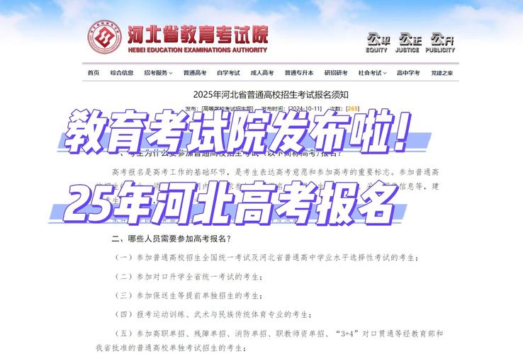 河南教育考试院官方网站(河南教育考试院官方网站登录入口)